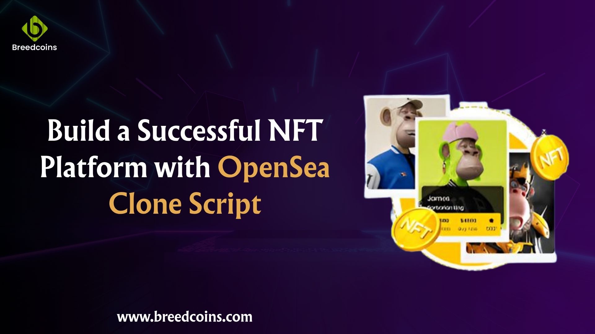 Build a Successful NFT Platform with OpenSea Clone Script